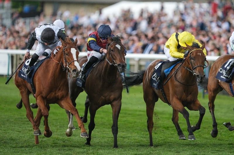 2025 1000 Guineas News Dates and vital information.