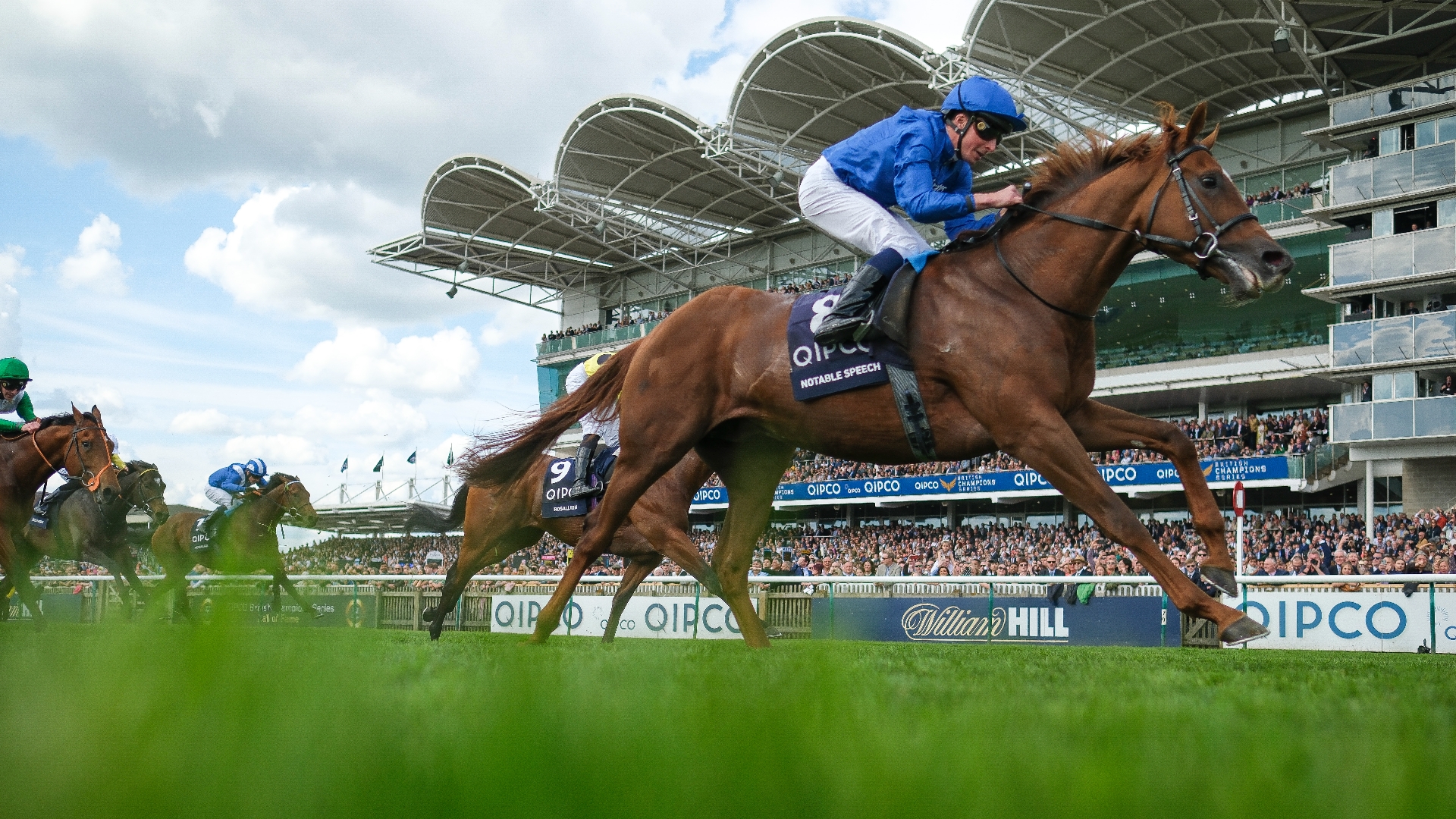 2025 2000 Guineas News Dates and vital information.