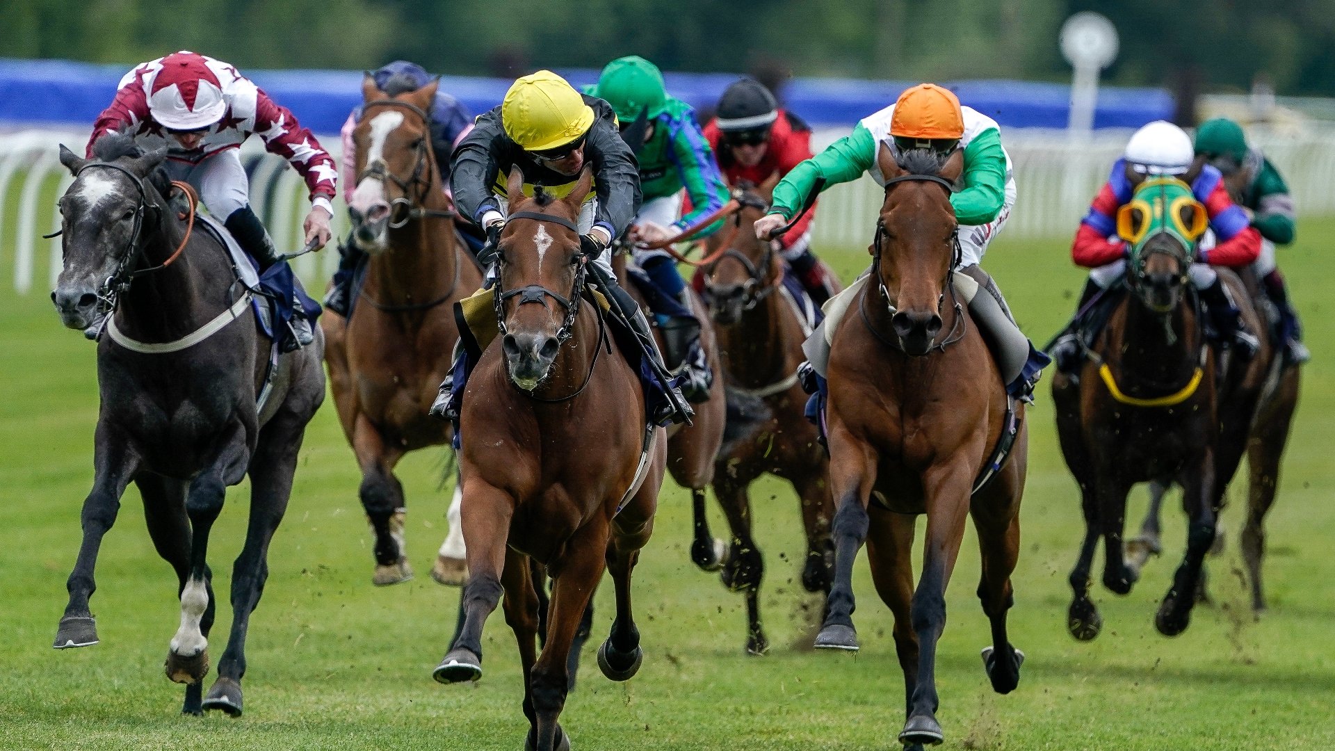 ITV Racing Tips on May 11th Saturday's selections at Lingfield, Ascot and Haydock