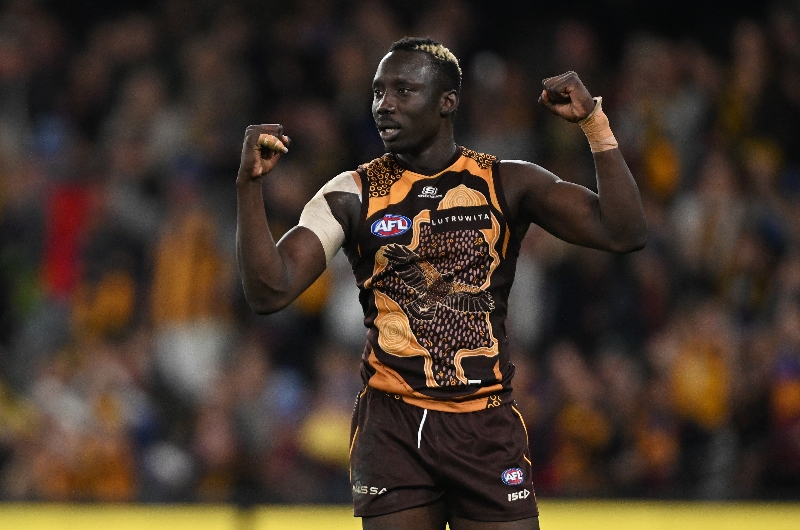 Hawthorn Vs Adelaide Crows Preview And Tips Hawks Bid For Fifth Win In