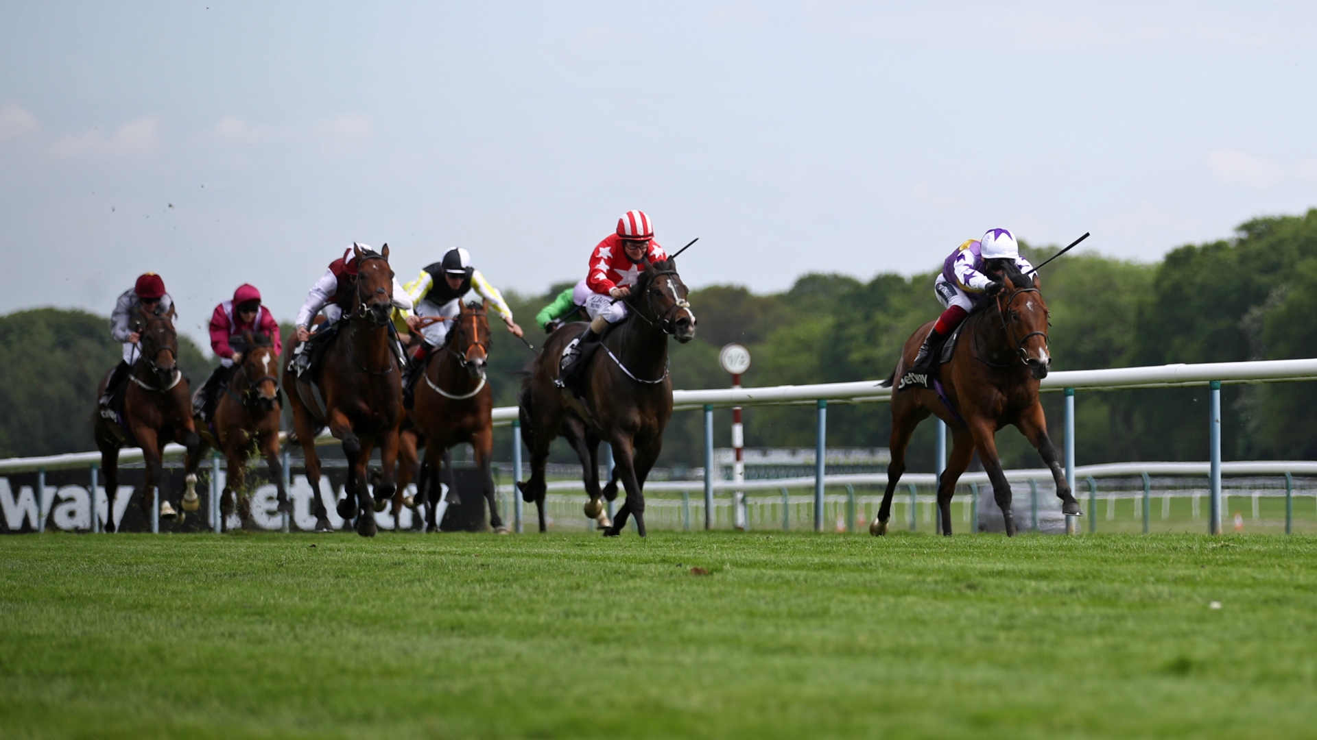 2024 John Of Gaunt Stakes Live Stream | Watch the Haydock race online