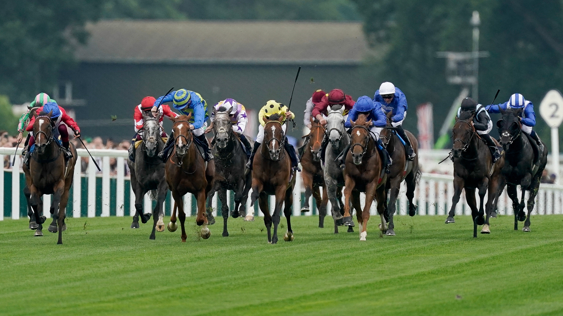 2024 Queen Anne Stakes Tips 50/1 outsider a Brave bet in Ascot opener