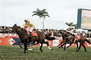 south africa horse racing