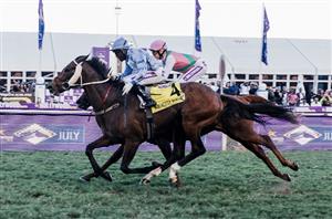 2024 Durban July Top Horses - Leading Contenders at Greyville