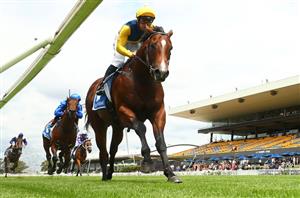 Coolmore Stud Stakes 2024 Betting Odds - Waterhouse & Bott Youngsters ...