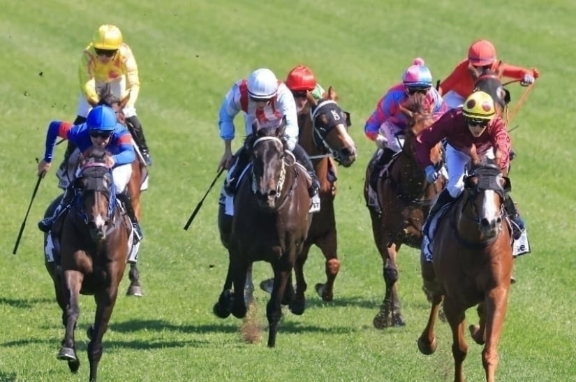 Kempsey Tips for July 30 - Run Rory Run is drawn to find the podium again