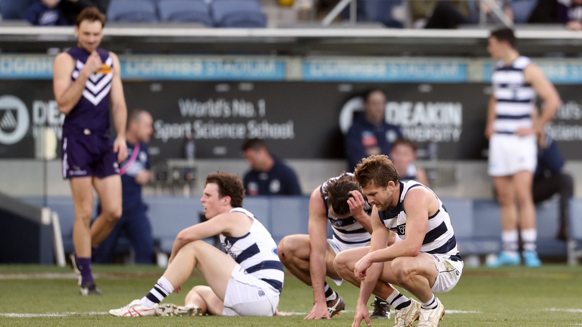 Fremantle Dockers Vs Geelong Cats Tips & Preview - Freo To Hand Cats A ...