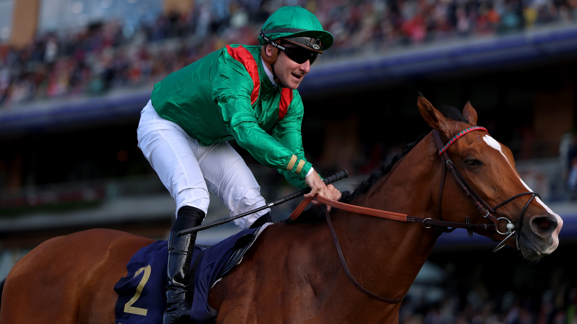 2024 Juddmonte International Stakes News Quotes from connections