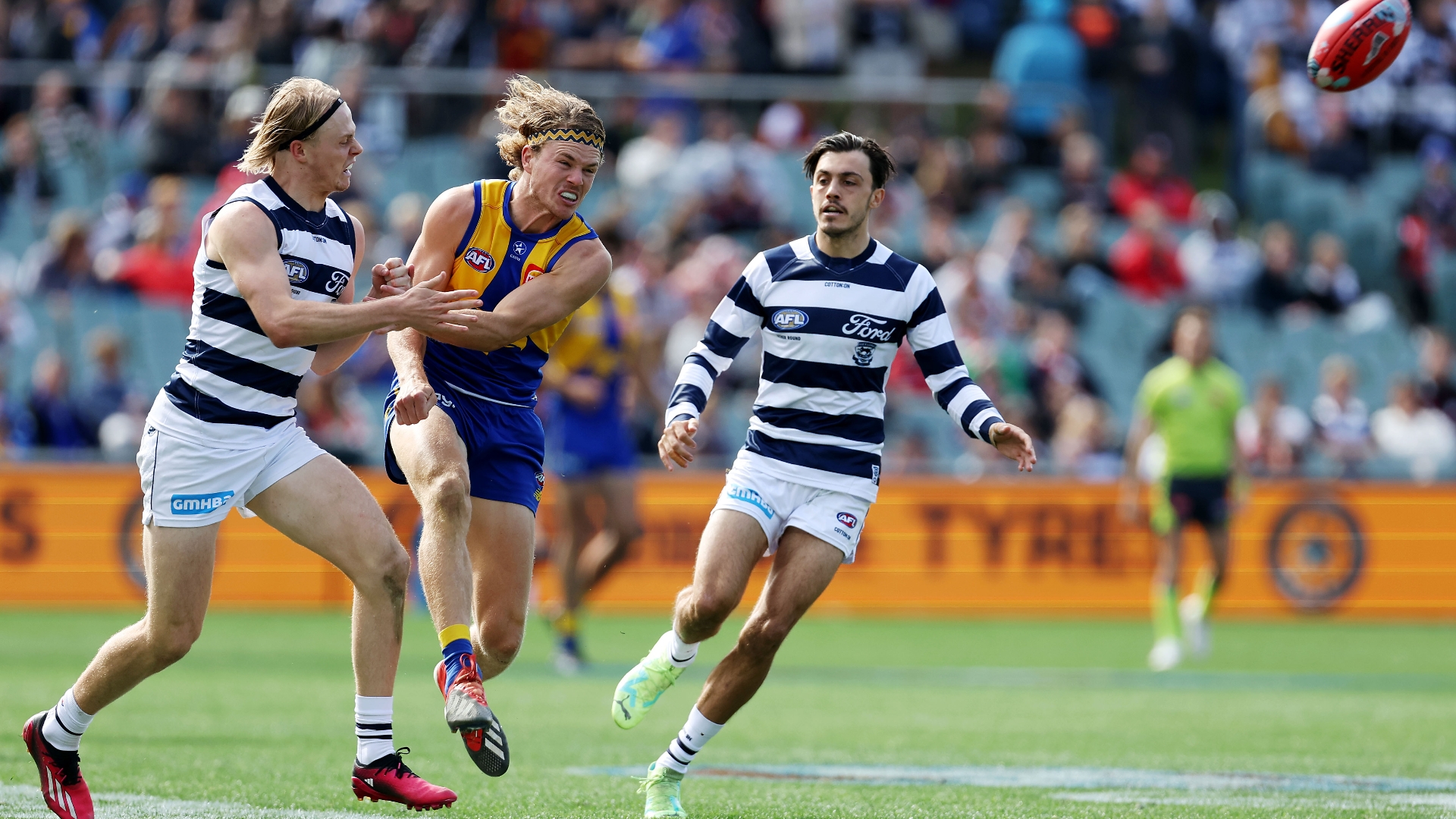 Geelong Cats Vs West Coast Eagles Tips And Preview Cats To Dominate The