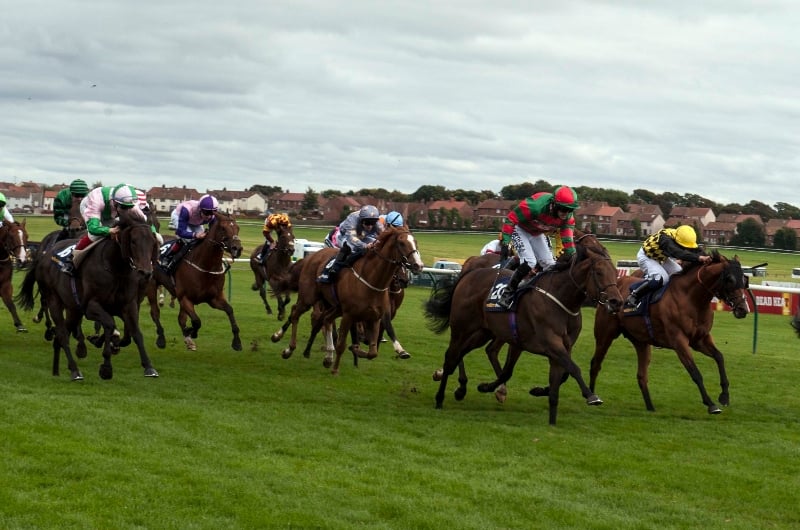 2024 Ayr Gold Cup Tips Odds, Trends and Final Tips