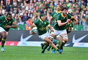 Cheslin Kolbe of South Africa (Getty Images)