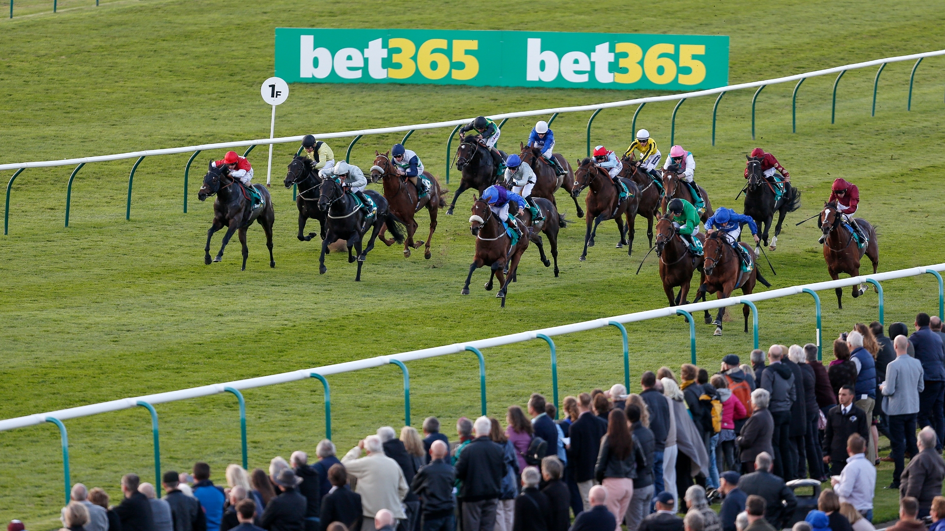 ITV Racing Tips on October 11th - Friday's tips at Newmarket, York and ...