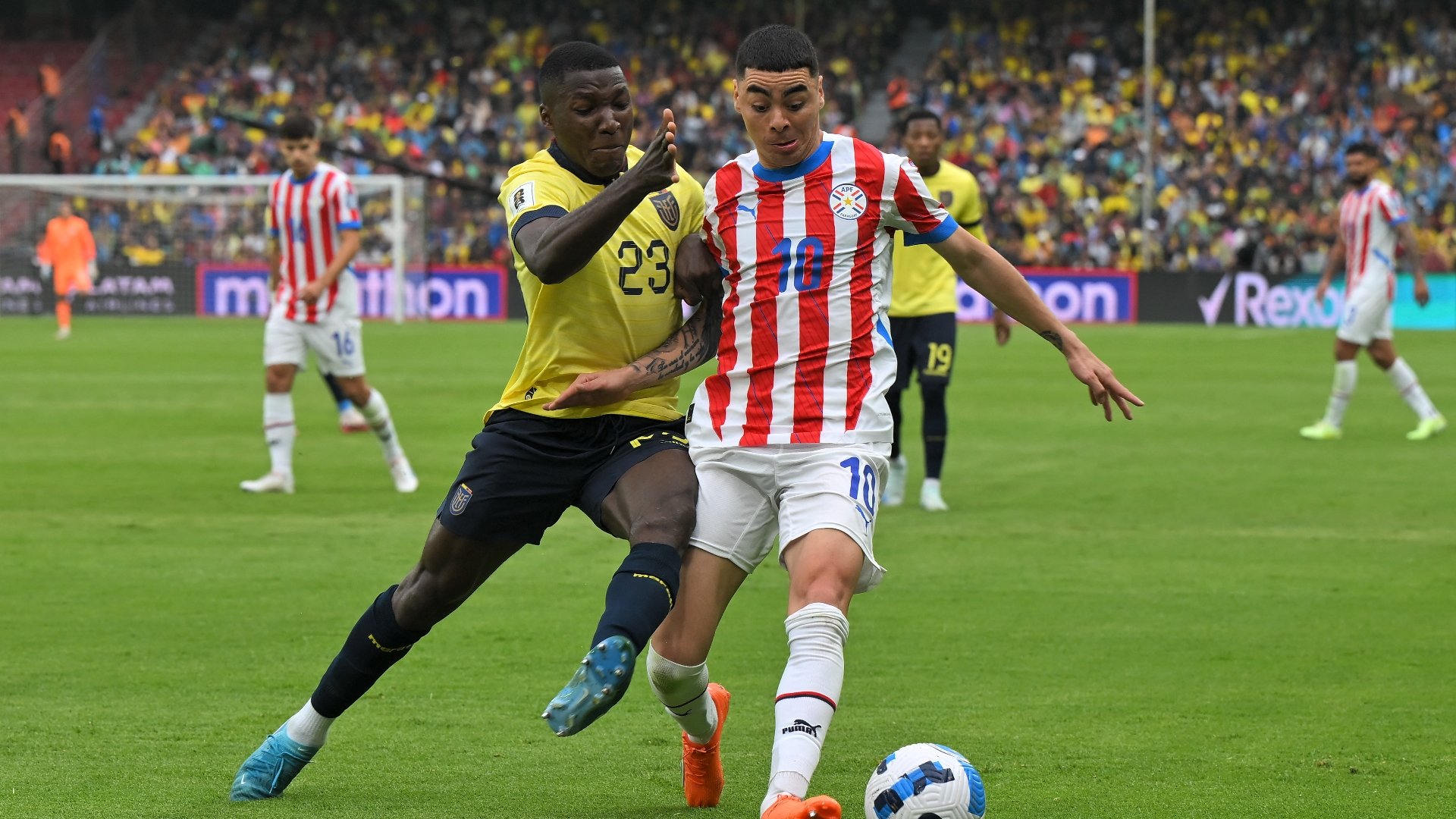 Paraguay vs Venezuela Live Stream & Tips Paraguay to PickUp Vital