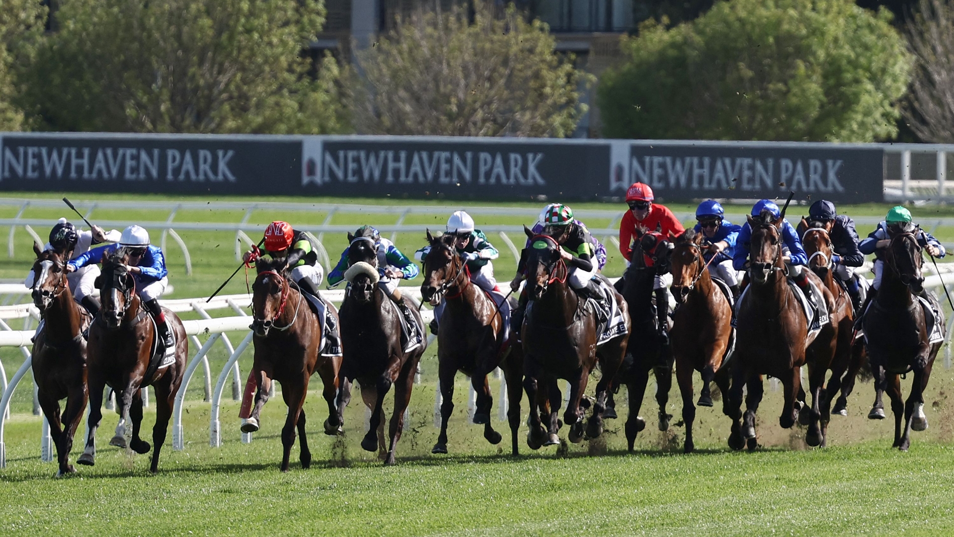 2024 The Everest Live Stream Watch the Randwick feature race live