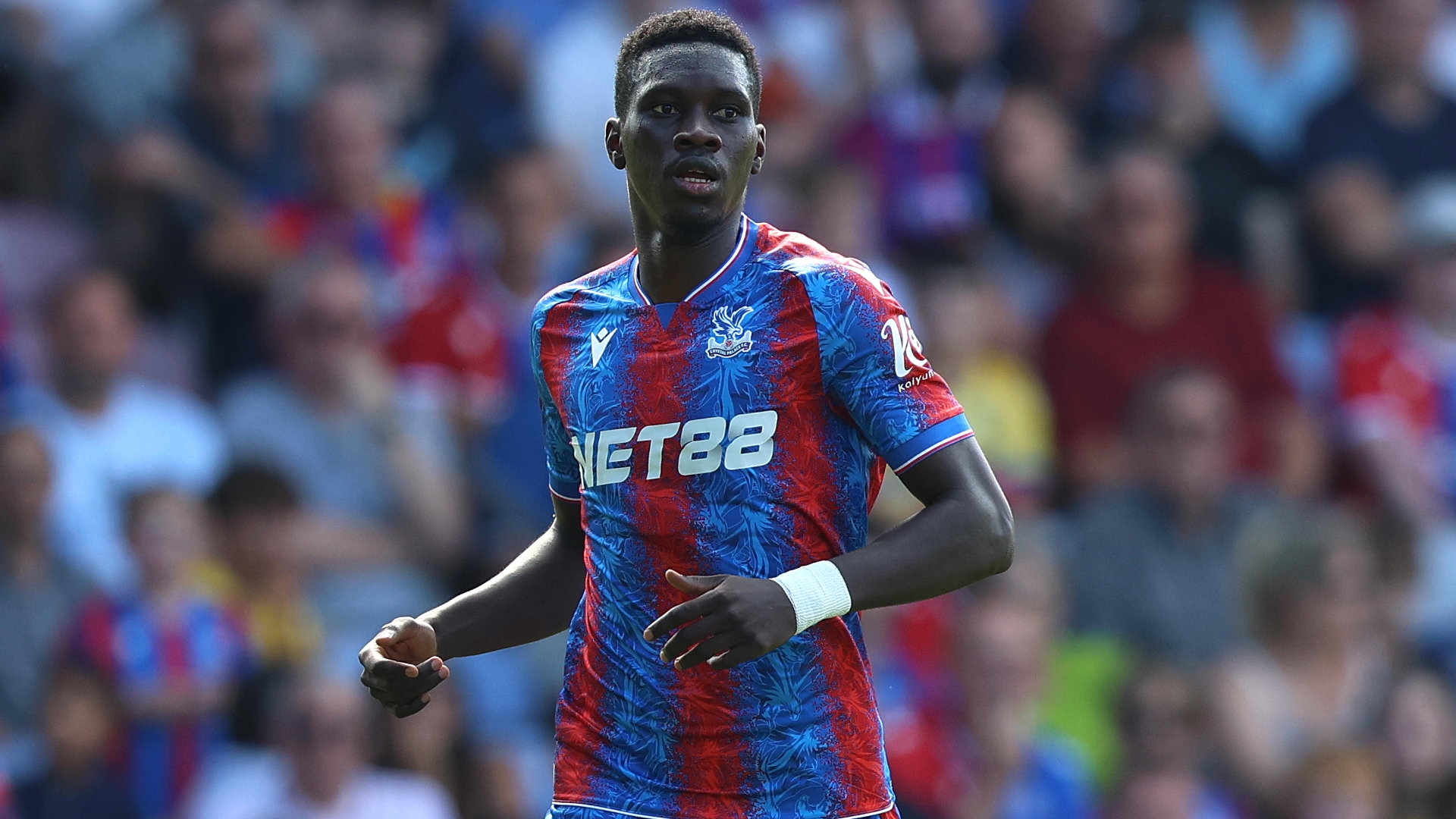 Nottingham Forest Vs Crystal Palace Predictions & Tips - Palace To Earn ...