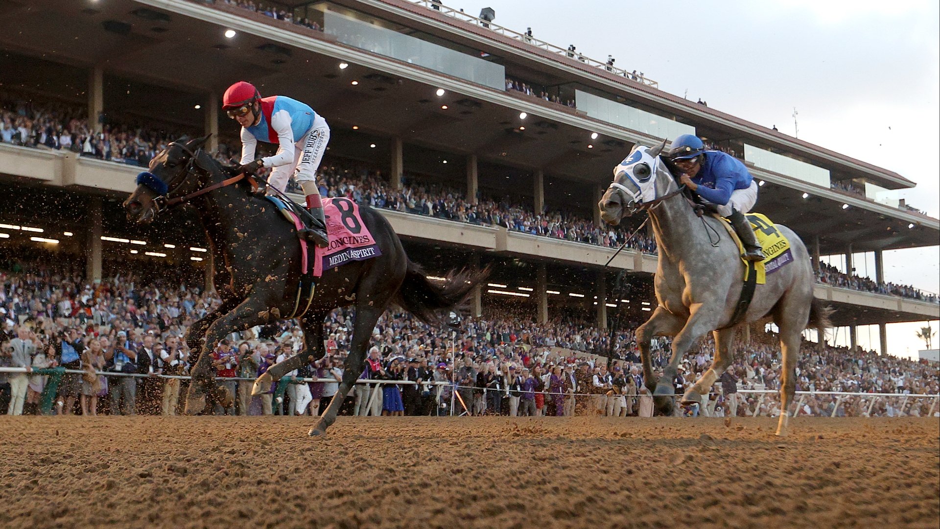 2024 Breeders' Cup Live Stream Watch every race from Del Mar live online