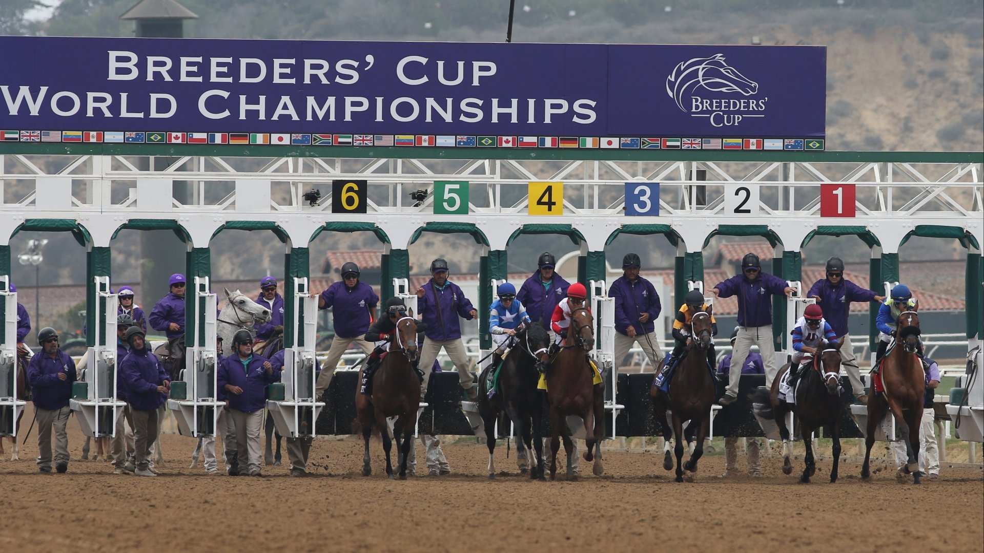 2024 Breeders' Cup Day 1 Tips | Five Grade Ones Covered At Del Mar