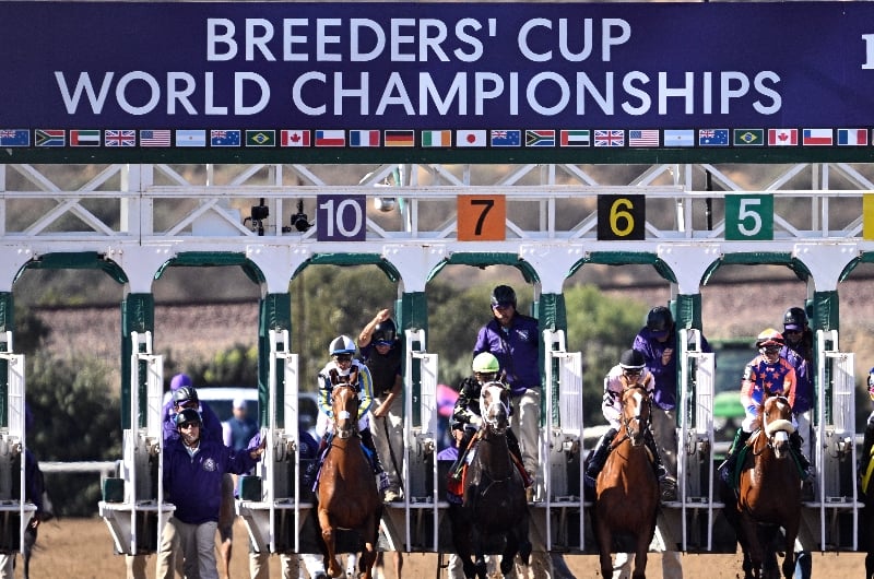 2024 Breeders' Cup Classic Result and Replay