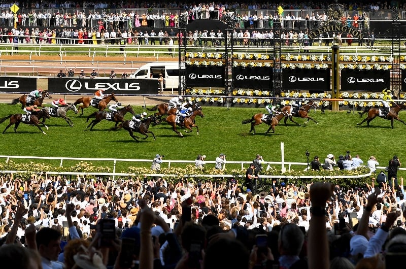 2024 Melbourne Cup Tips Value eachway bets for the Race That Stops A