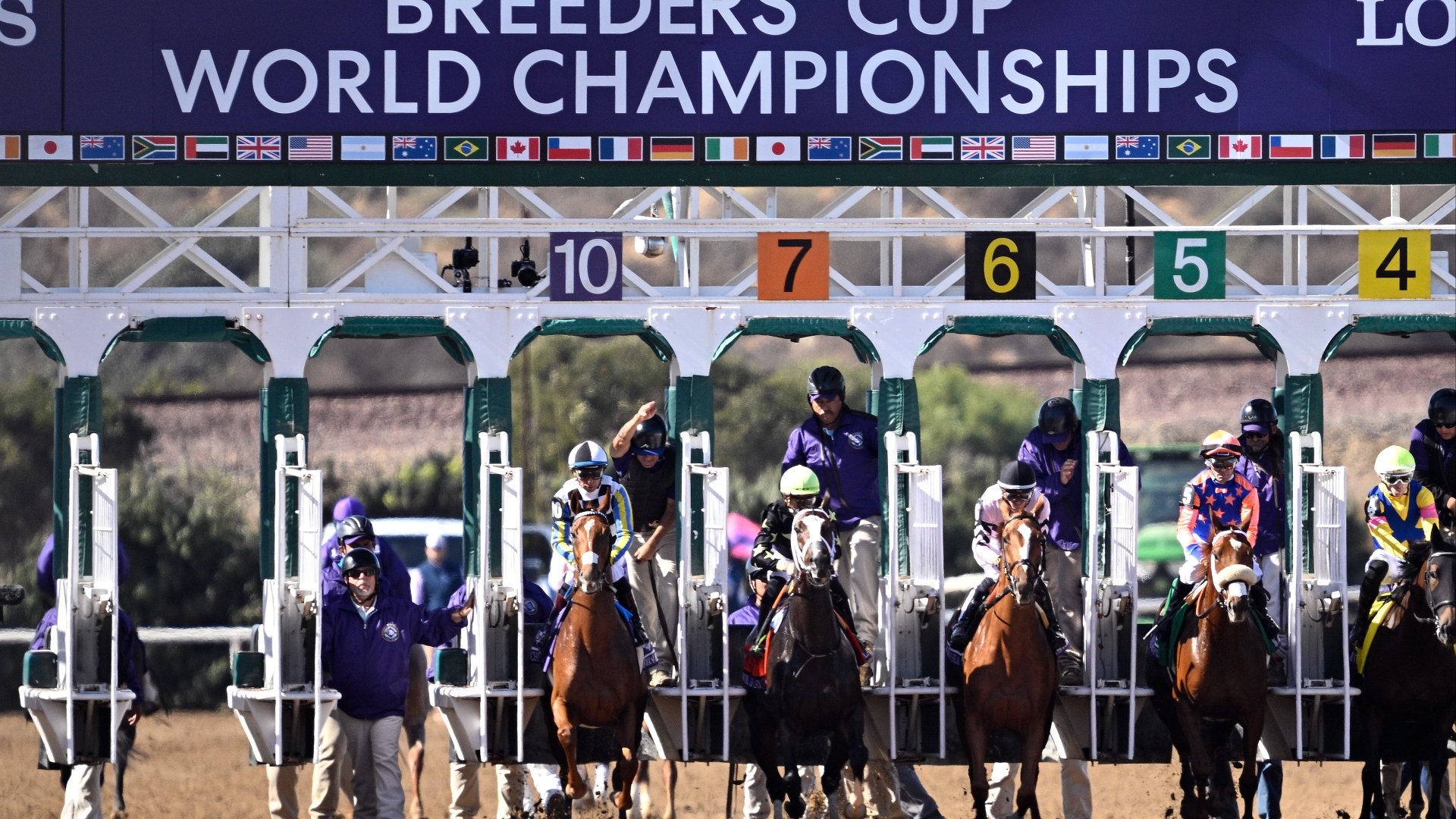 2024 Breeders' Cup Classic Result and Replay