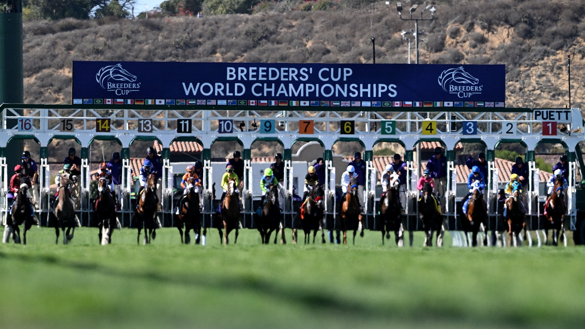 Breeders' Cup 2024 Tips Peter Fornatale's Day 2 Selections