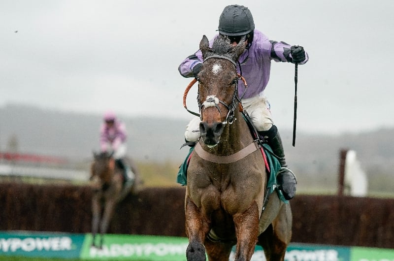 2024 Paddy Power Gold Cup Live Stream Watch the Cheltenham race online