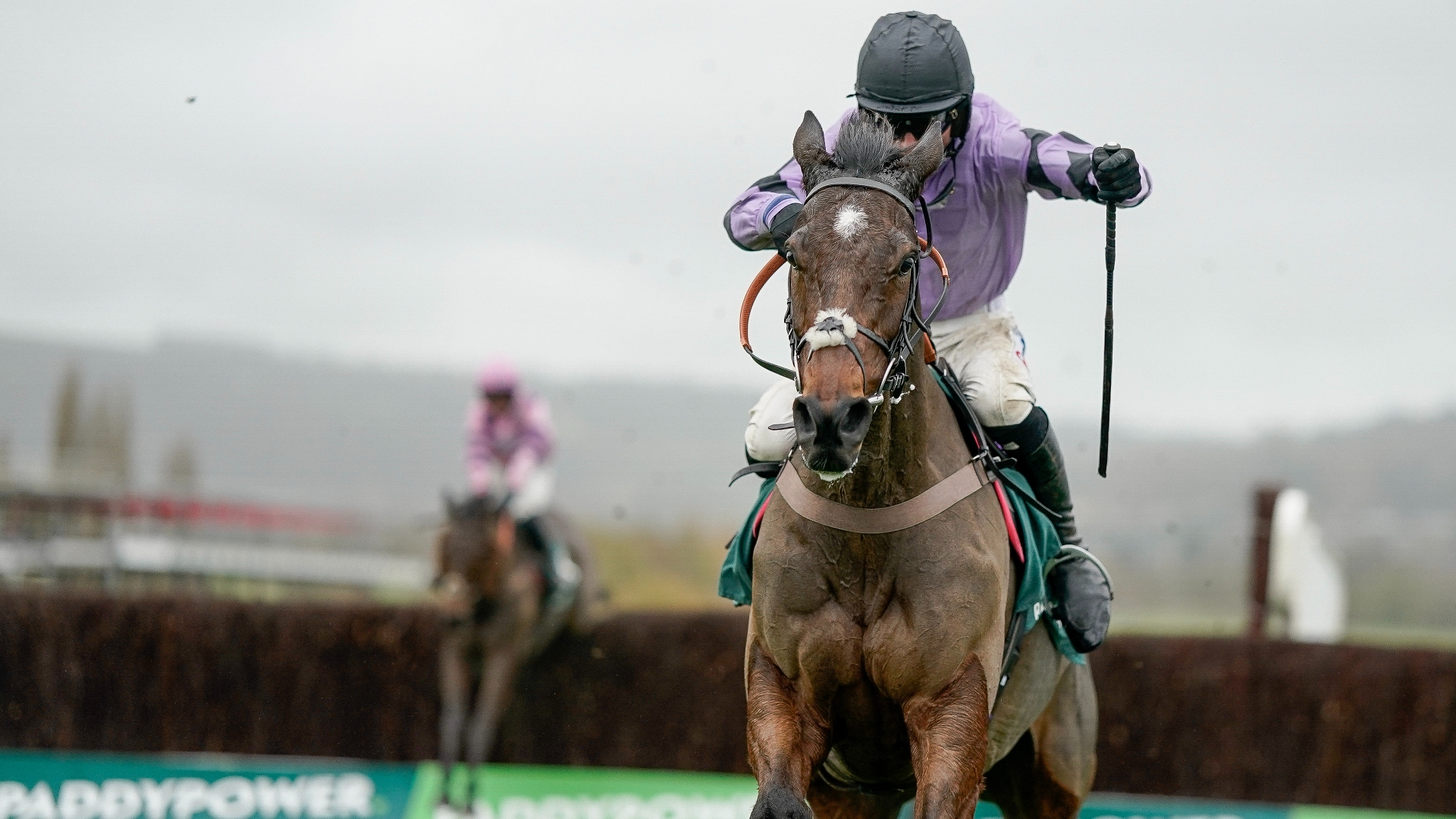 2024 Paddy Power Gold Cup Live Stream Watch the Cheltenham race online