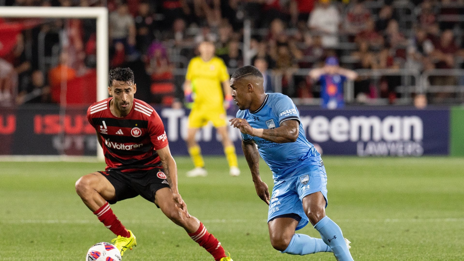 Sydney FC Vs Western Sydney Wanderers Live Stream & Tips - Sky Blues To ...