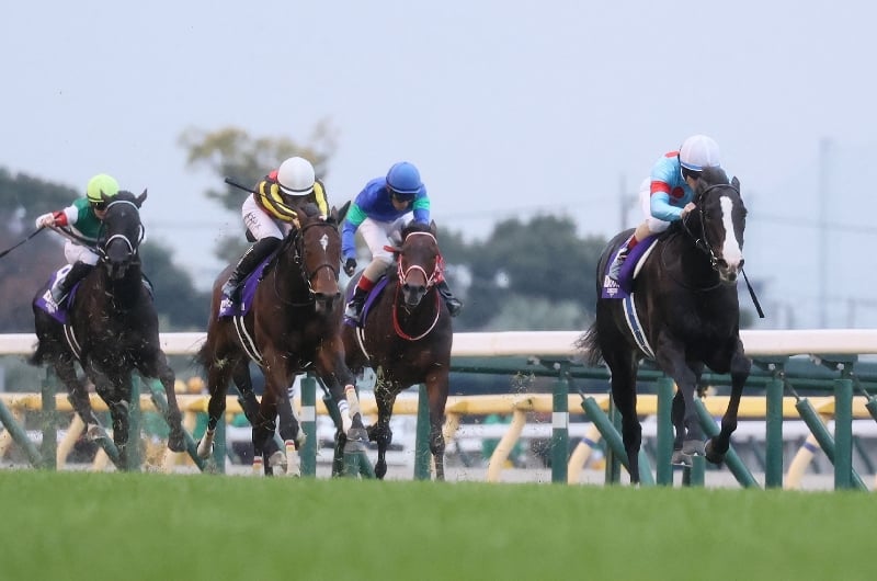 2024 Japan Cup Tips Home favourite will Do the business at Tokyo