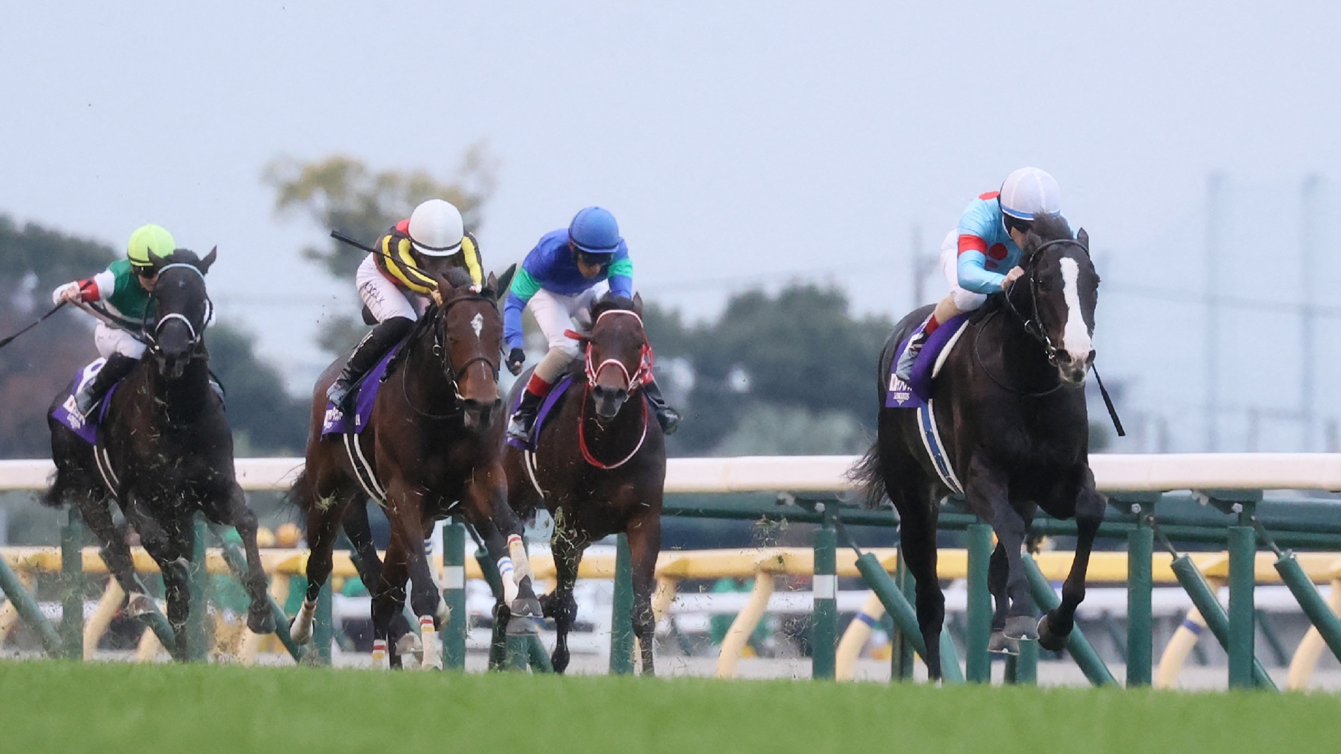 Japan Cup Tips Who will win the Tokyo Group 1?