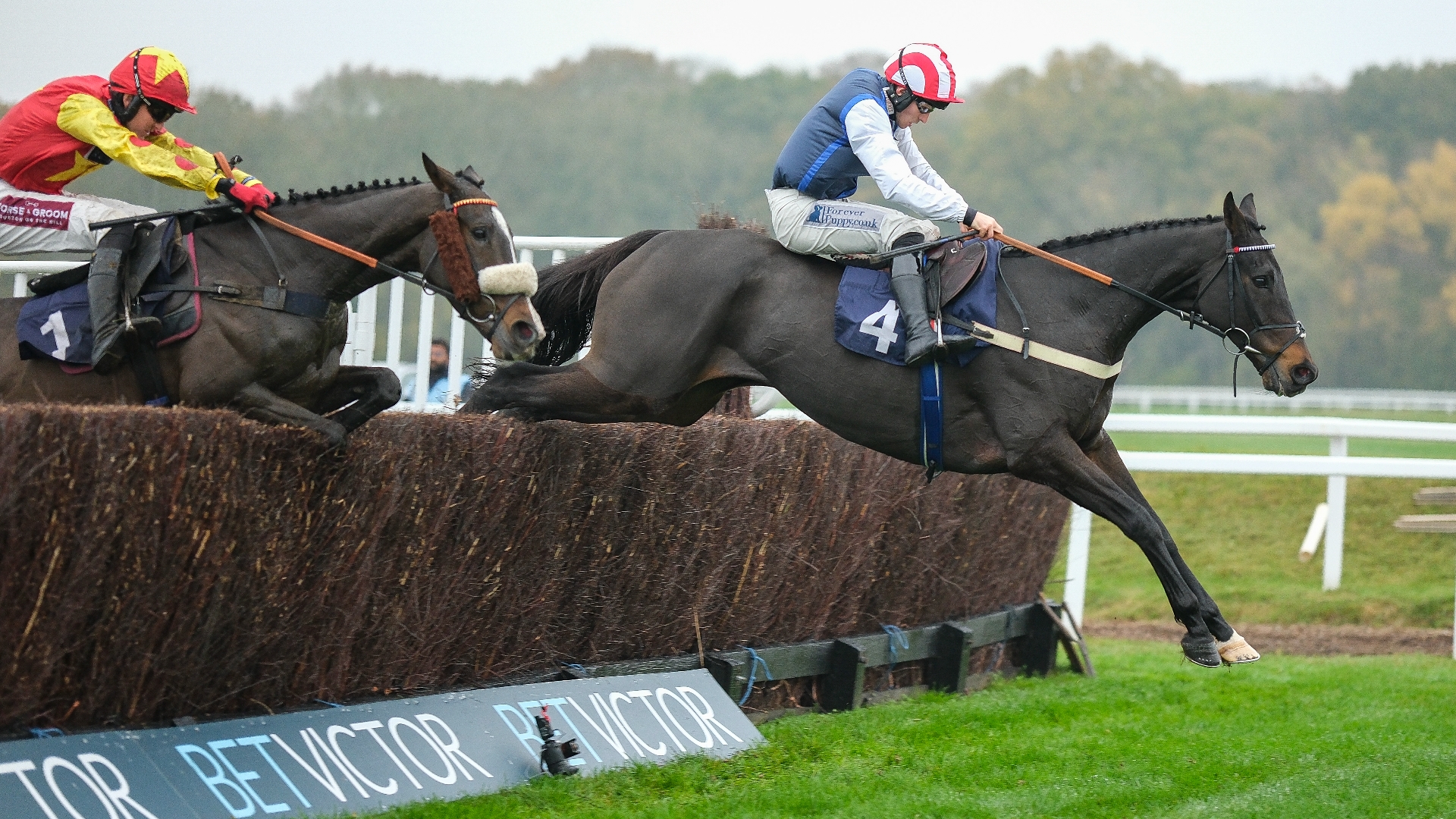 2024 John Novices' Chase Live Stream Watch the Newbury race