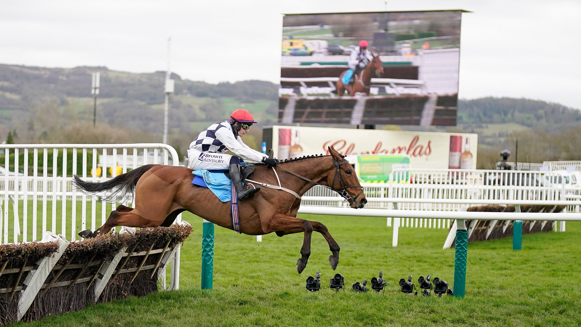 Cheltenham Festival 2025 Tips Willie's novice offers value in redhot