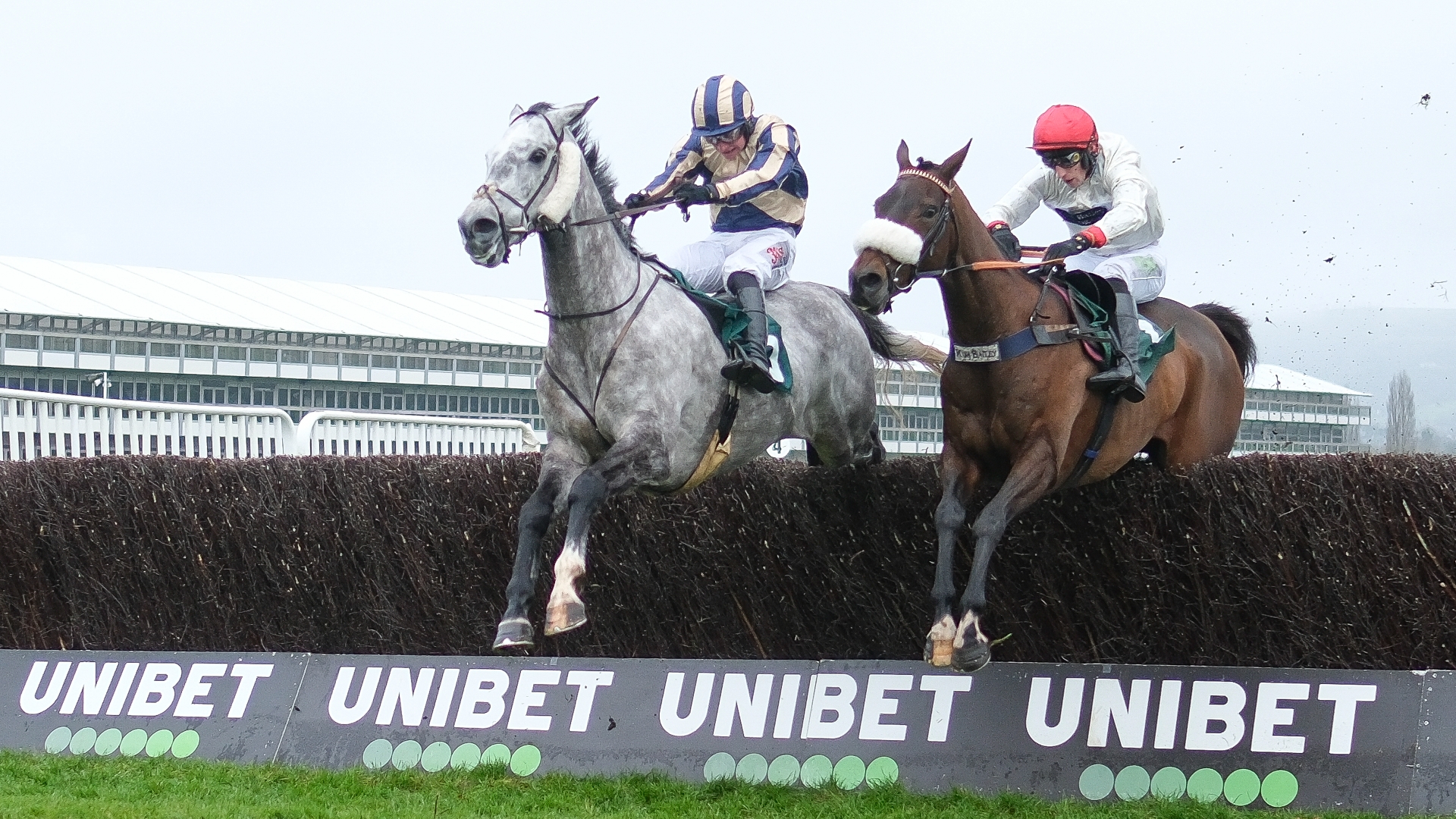 Cheltenham Festival 2025 Tips Pipe's grey the perfect fit for the Ultima