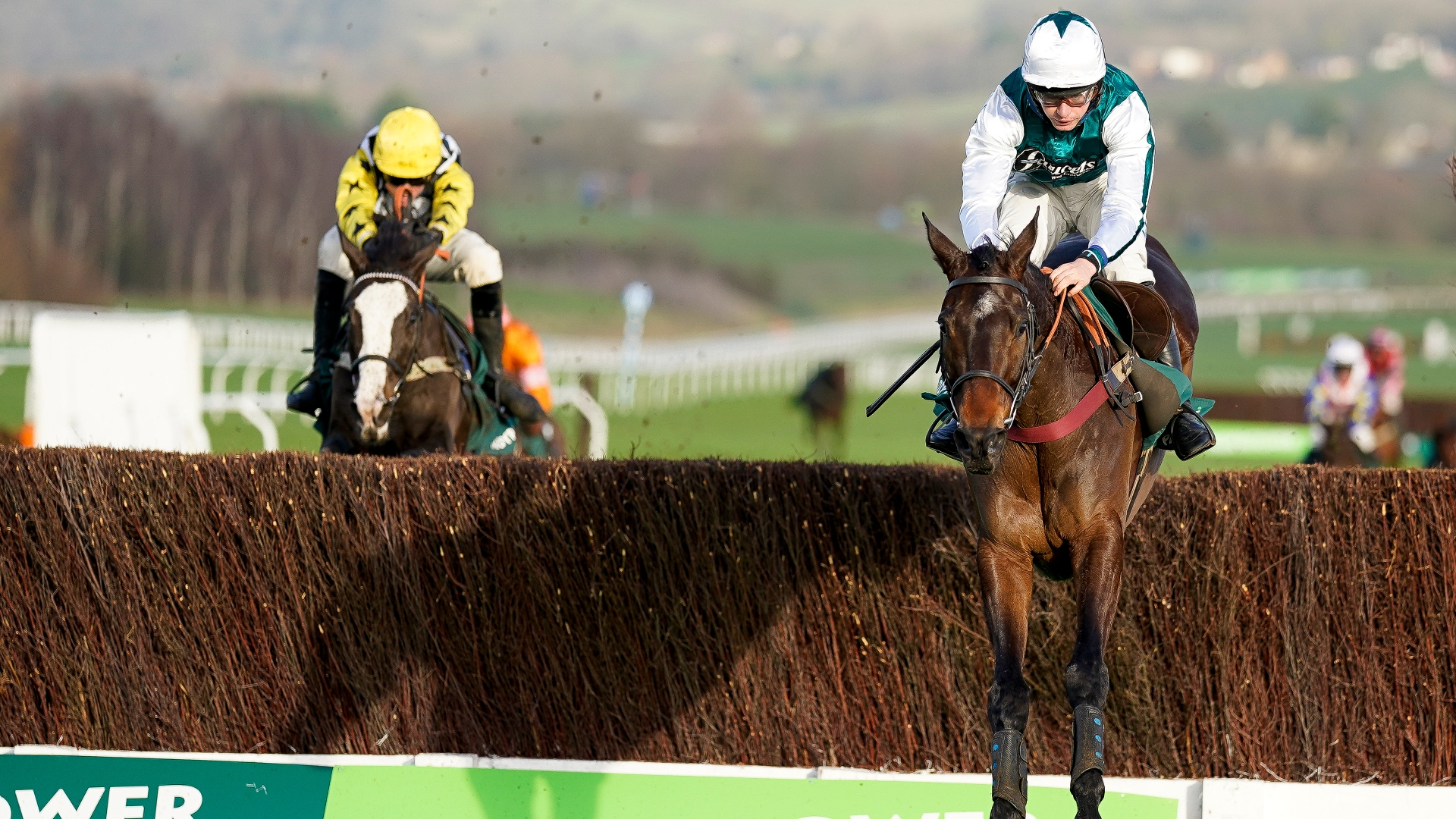 2025 Cotswold Chase Odds L'Homme Presse tops Cheltenham betting