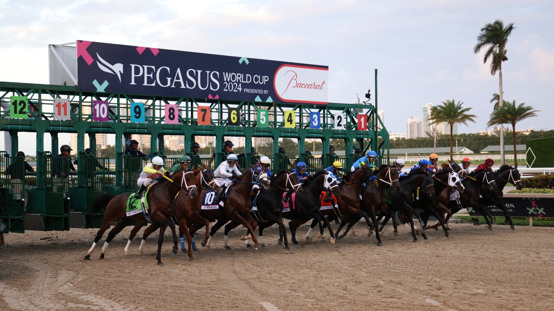 2025 Pegasus World Cup Odds Locked favourite to make up for lost time