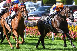 William Reid Stakes Tips - She’s Bulletproof to thrive at the Valley in ...