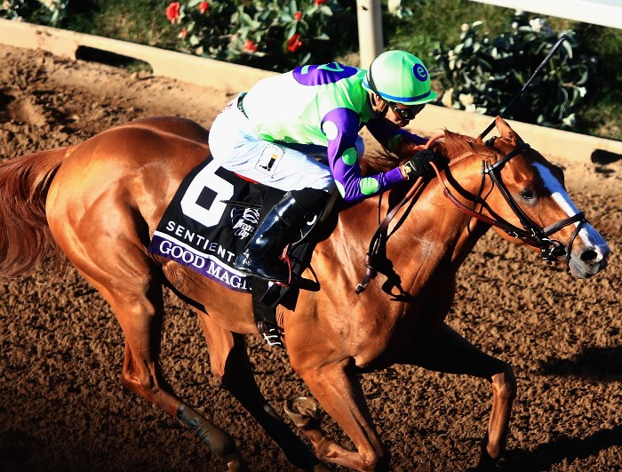 2024 Breeders' Cup Tips Odds, news and betting selections