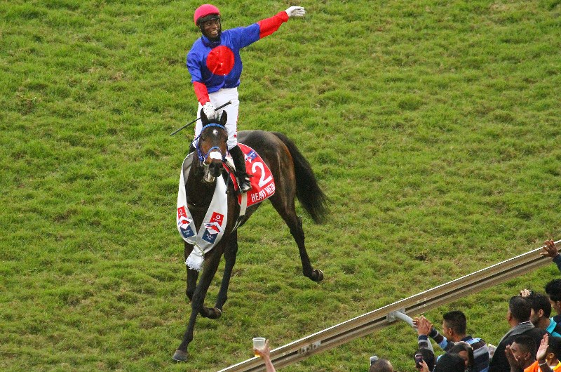 2020 Durban July Handicap Roughies Picks