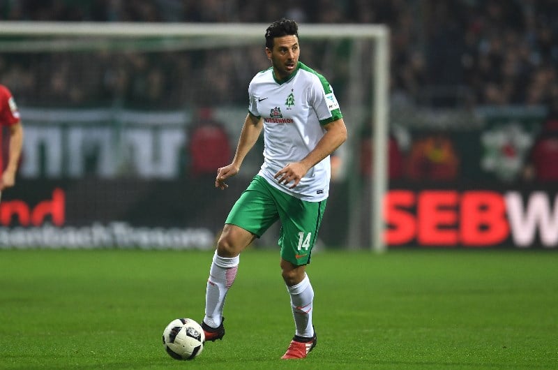 pizarro werder