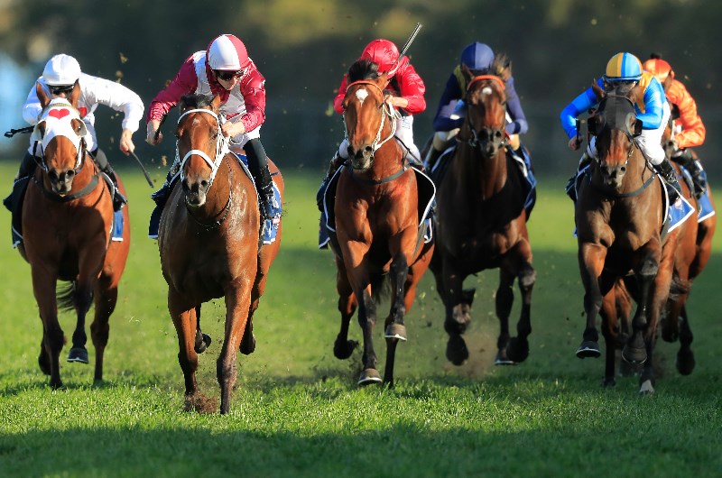 Rosehill Racing Tips 2nd November 2019 Will It Be An