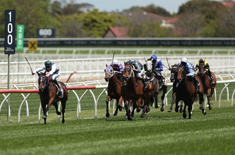 Rosehill Racing Tips For 09.11.2019 - Will an Angel emerge from Heaven?