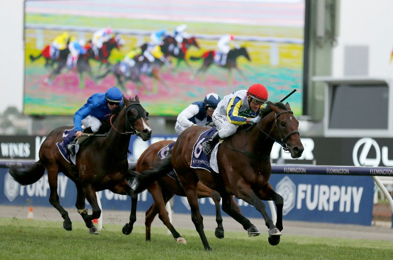 Ascot Racing Tips For 20112019 Will She Bee Quick Enough