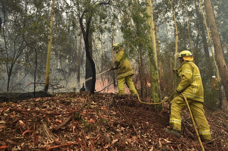 Australian Bushfire Donations - Here's How You Can Help