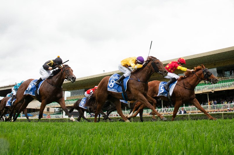Canterbury Racing Tips, Preview & Predictions for 14.2.2020 - Will