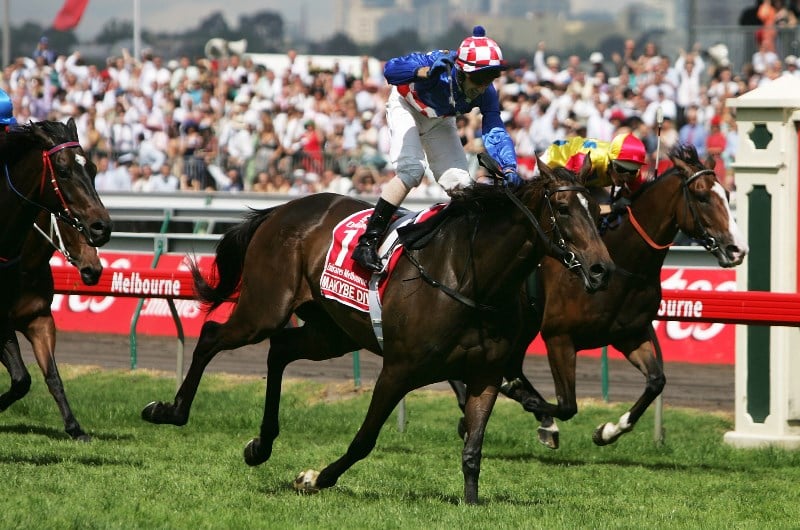 Which Australian Horse Has Won The Most Prize Money