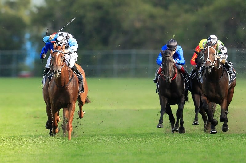 Rosehill Racing Tips Cardiff, On The White Turf and Blueant tipped to