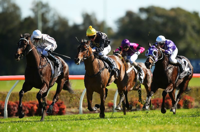 Canterbury Racing Tips - Horse Racing Tips for Wednesday's April 22