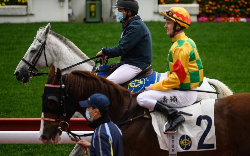 Hong Kong Racing Betting Tips For Sha Tin & Happy Valley