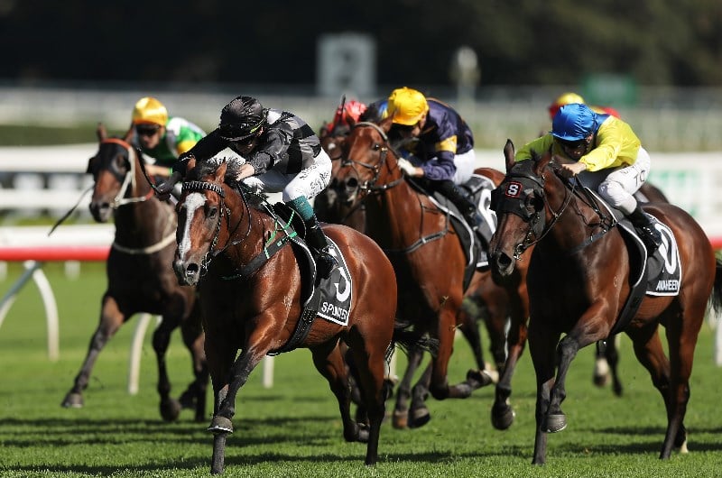 Dubbo Tips - Horse Racing Tips for Sunday's May 3 New ...