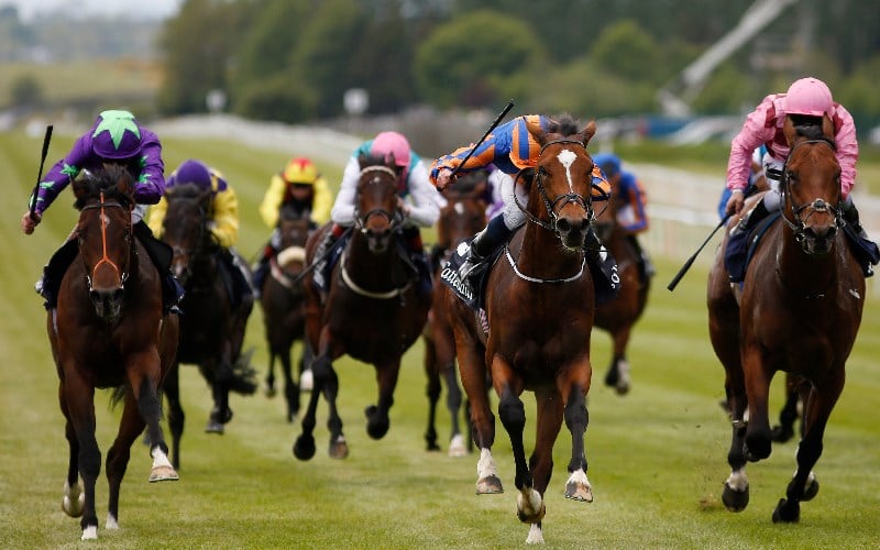 2022 Irish Guineas Festival Betting Tips, Best Bookmakers & Free Bets